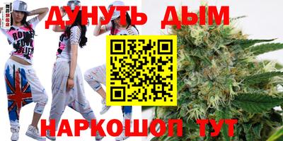 спиды Камень-на-Оби