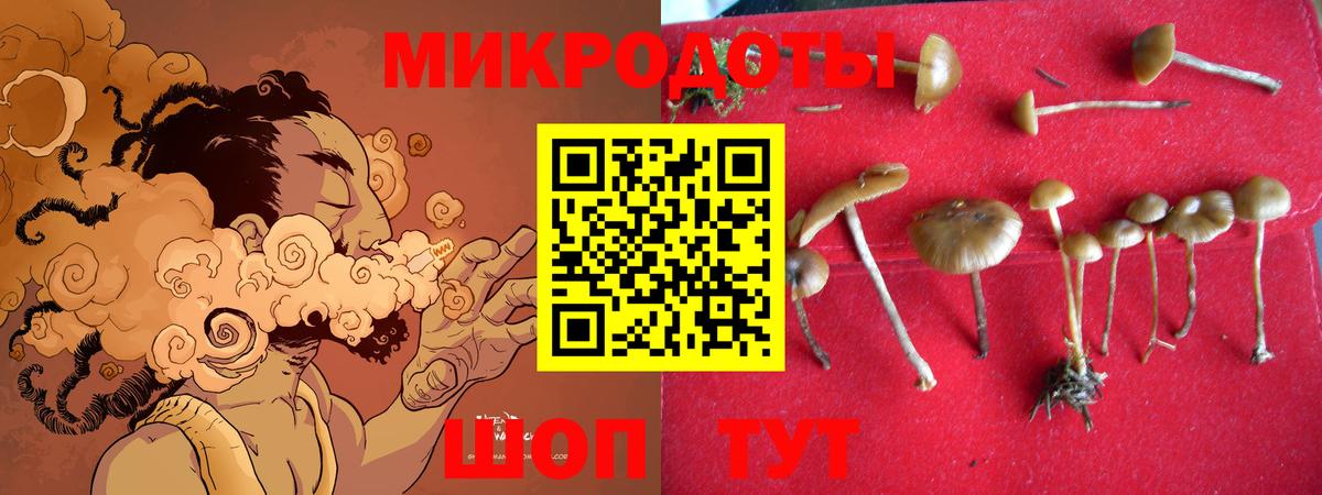 Галлюциногенные грибы GOLDEN TEACHER  Галлюциногенные грибы Magic Shrooms  Вход с VPN  Россошь 